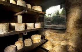 cheese cellar
